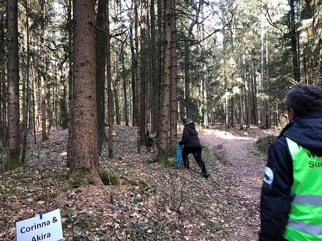 IMG 1945