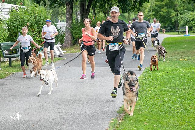 uploadKärnten-läuft-2019-Dogging731A5716-2000x1333