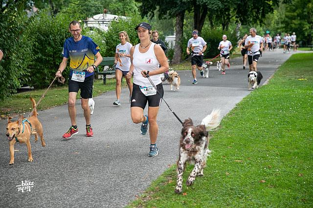 uploadKärnten-läuft-2019-Dogging731A5718-2000x1333