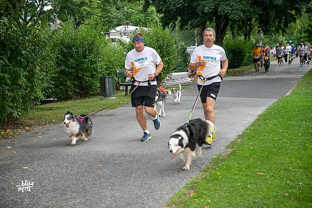 uploadKärnten-läuft-2019-Dogging731A5720-2000x1333