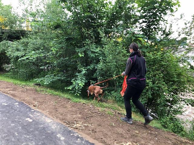 IMG 1604