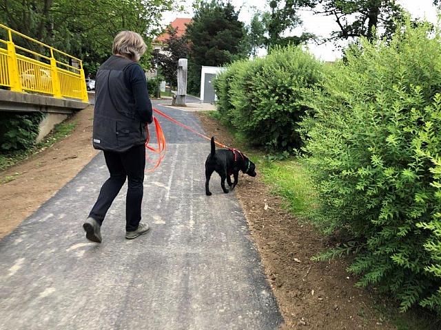 IMG 1652