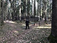 IMG 1953