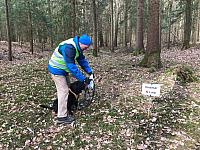 IMG 1963