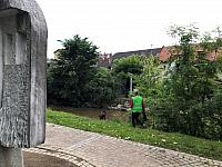 IMG 1633