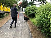IMG 1652
