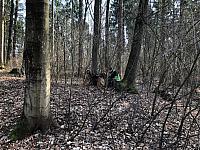 IMG 8353