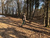 IMG 8387