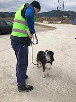 IMG 8773