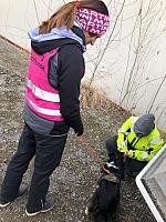 IMG 8806