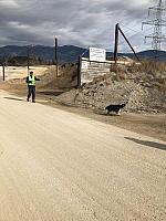 IMG 8859