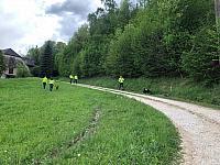 IMG 8336