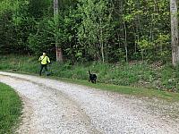 IMG 8338