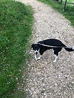 IMG 8087
