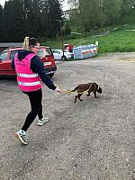IMG 8092