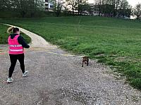 IMG 8093