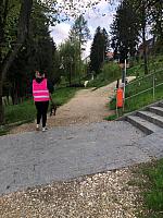 IMG 8098