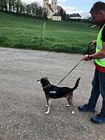 IMG 8121