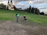 IMG 8127